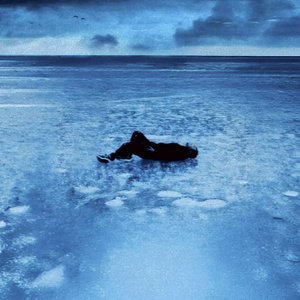 被淫纹逐渐侵蚀的圣狐少女
