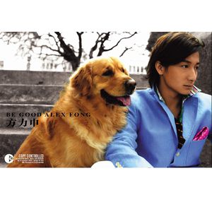 被淫纹逐渐侵蚀的圣狐少女
